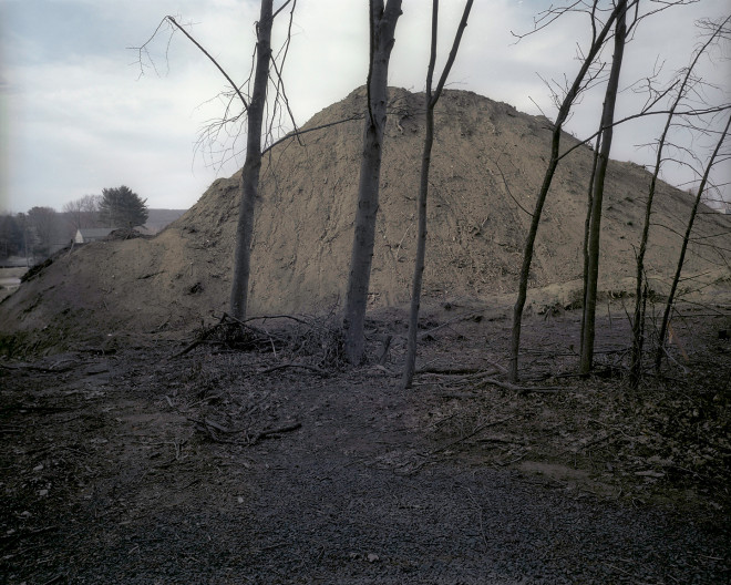 Mound and trees 1