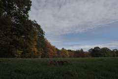 Barn-10-10-19-7